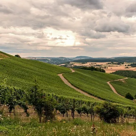 شقة Gemuetliches Im Weingut *