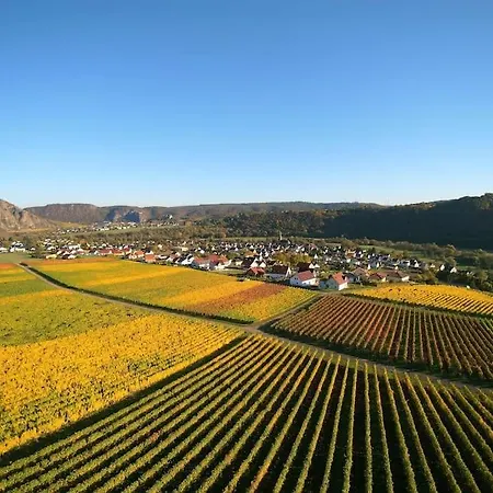 Gemuetliches Im Weingut *